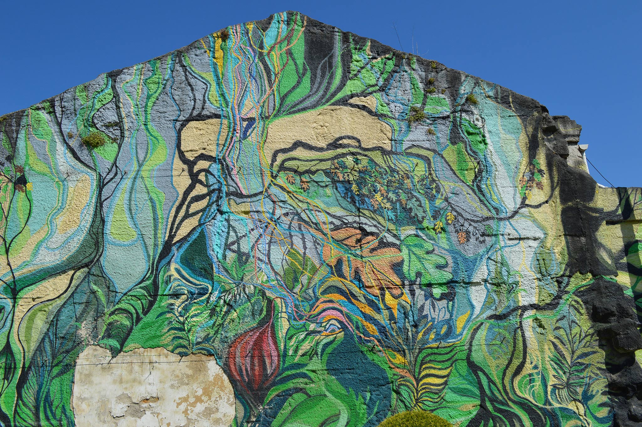 Foto principal mural O carballo