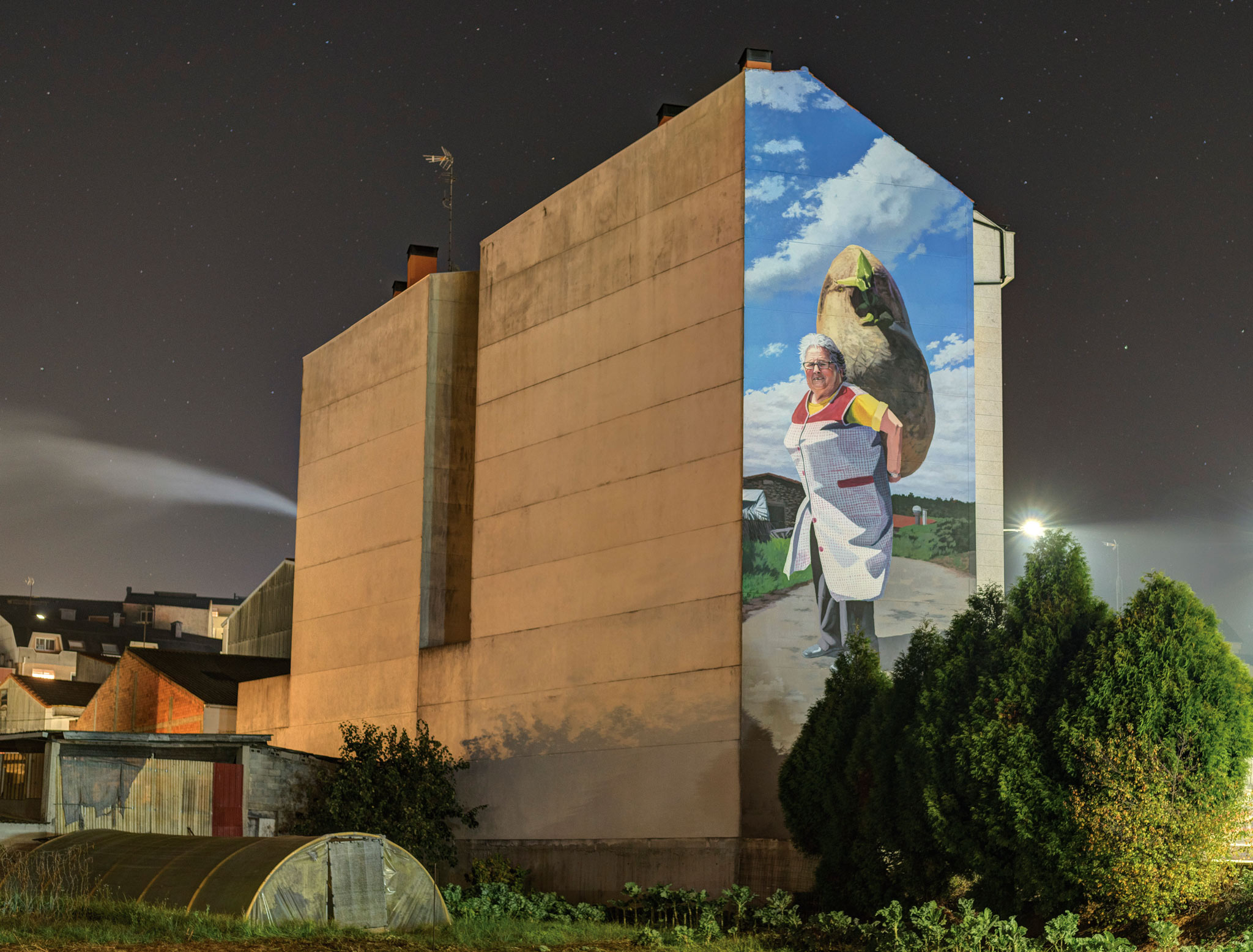 Foto principal mural Fina de Carballo