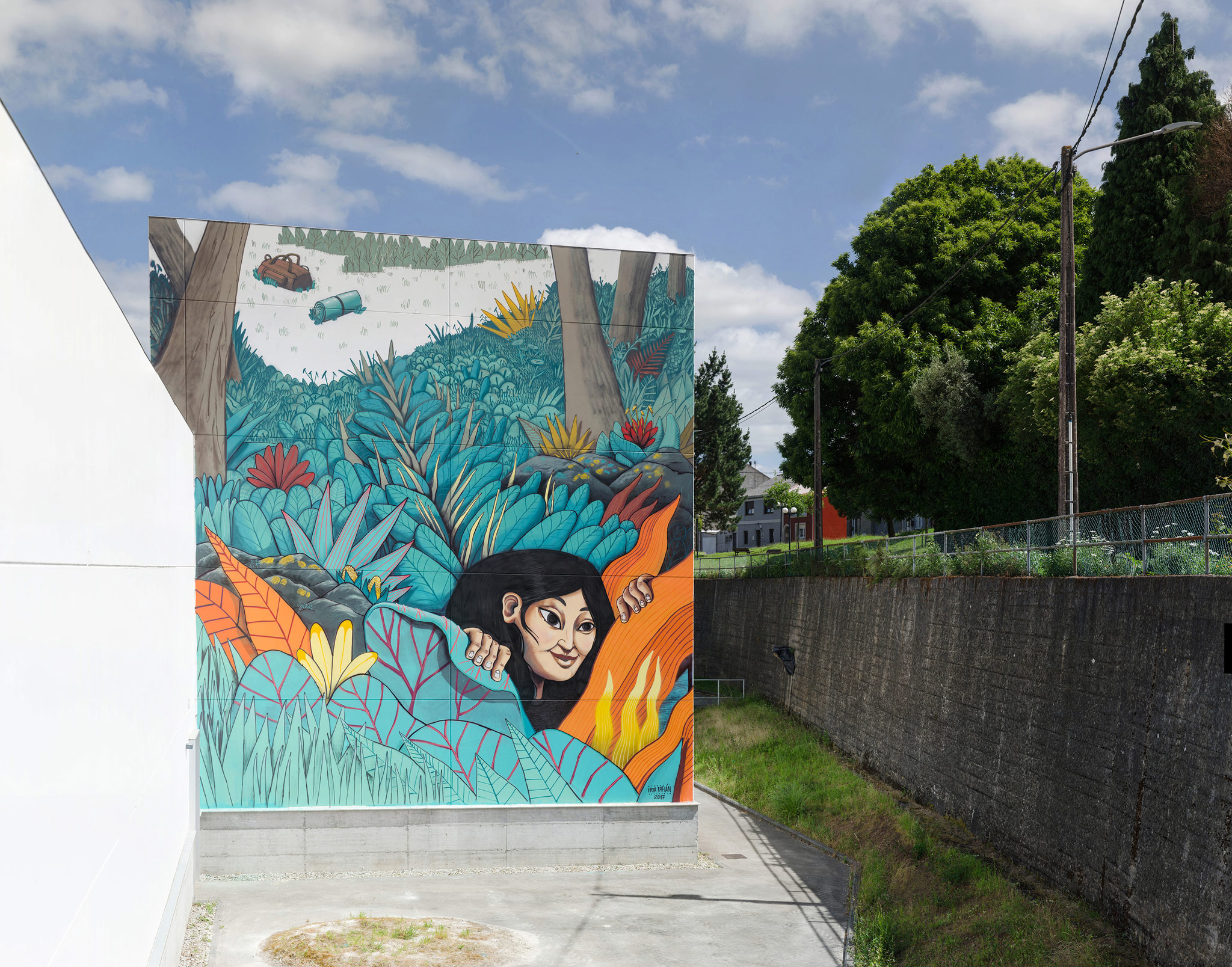 Foto principal mural Vida sinxela