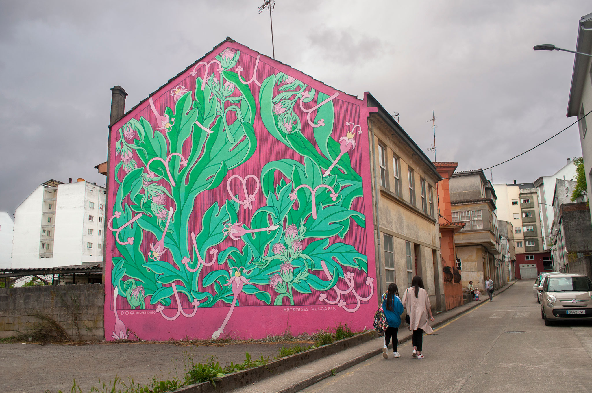 Foto mural principal Artemisia Vulgaris,