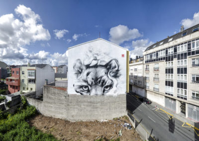 SATR - Rexenera Fest 2019