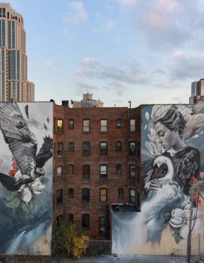 Lula Goce - Nueva York