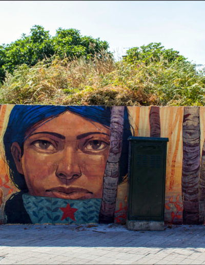 Mural de Xoana Almar y Miguel Peralta